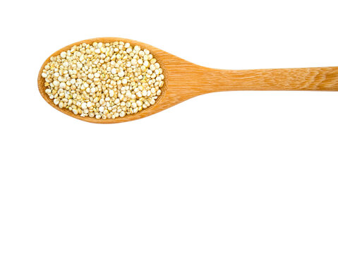 Pile of uncooked white quinoa on wooden spoon