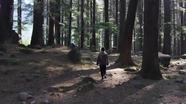 Woman walking alone deeper into forest, solitude and escape in nature.