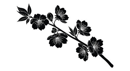 A delicate branch of blossoming cherry flowers is depicted in a striking black silhouette high quality professional detailed modern elegant stylish © rabbivay