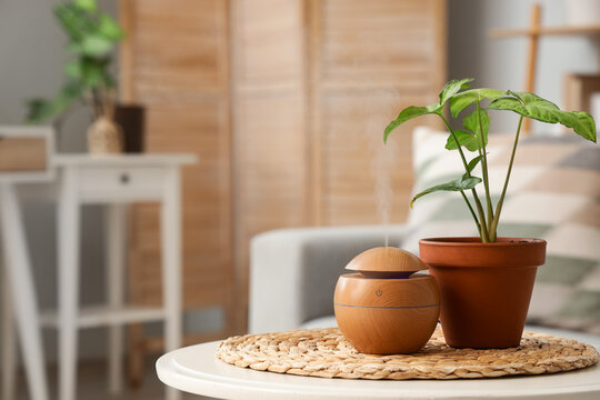 Air humidifier with green plant on table in living room