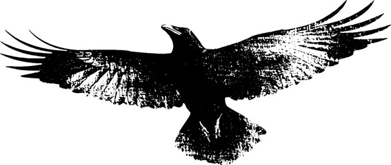 Obraz premium High contrast black and white raven wings spread in flight ink illustration for poster background and emblem design