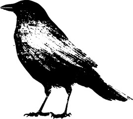 Obraz premium High contrast black and white crow silhouette with grunge ink texture for background poster banner and logo design