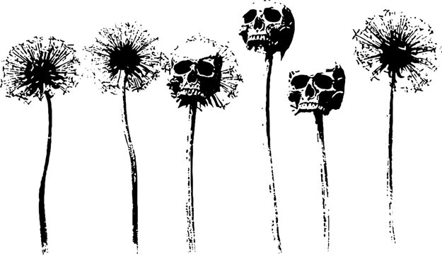 Skull bouquet high contrast black and white ink drawing with dandelion skulls for gothic background poster design