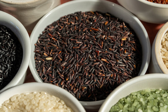 A variety of rice in white ceramic bowls on a tile surface 