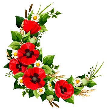 Floral frame with red poppy flowers and green leaves. Vector floral round design element with wild flowers