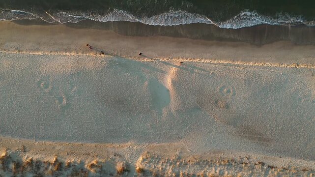 Aerial view of people walking  their dogs on the beach in Oak Island NC at sunrise