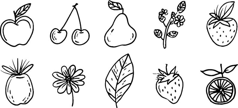 Hand drawn fruit and floral sticker sheet with apple pear cherry strawberry orange slice traced line art for planner design and craft labels