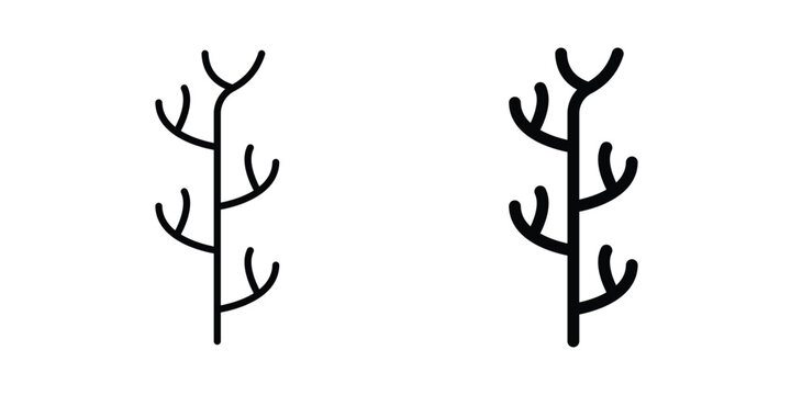 Algae icon. Line and glyph solid vector collection.
