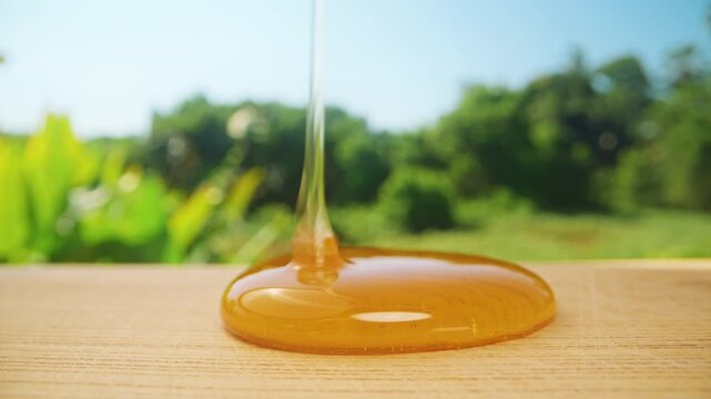 Thin Stream Of Golden Honey Falling Onto Wooden Surface Forming Glossy Pool In Macro Close Up Slow Motion Natural Sweet Food Organic Ingredient Healthy Nutrition
