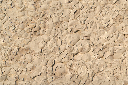 Brownish-gray mudstone with a knobby fracture. A beautiful natural backdrop.
