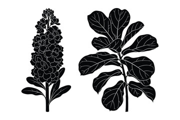Black vector illustration of a blooming lupine flower stalk and fiddle leaf © Roney