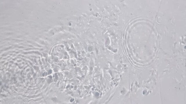 Watch as water ripples form intricate patterns, showcasing the beauty of fluid motion. The serene water reflects light effortlessly.