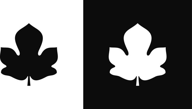 Fig leaf silhouette.  Isolated fig leaf on white and black background 