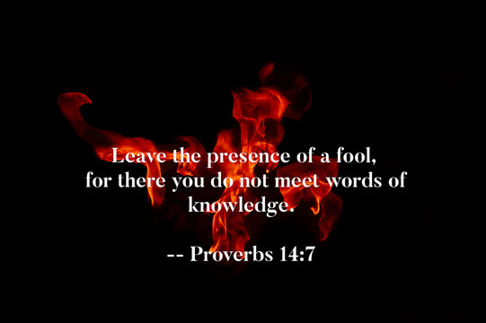 Proverbs 14 7