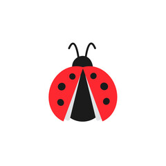 Obraz premium Cute red ladybug with open wings