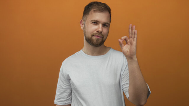 Man young bearded making ok sign with raised hand in studio with orange wall wearing white t shirt and slight smile; approval.