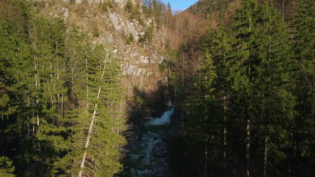 Aerial view of Rindbachfall waterfall in alpine forest near Ebensee, Austria