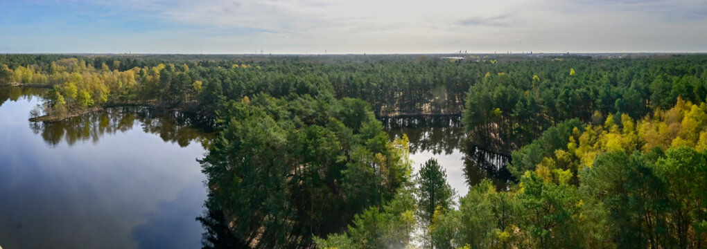 Expansive View of a Dense Forest Landscape (Lommel - Belgium) With a Serene Lake Reflecting Autumn Colors Under a Cloudy Sky