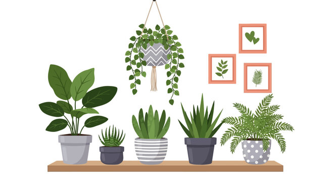 Indoor plants, potted plants, houseplants, green decor, home plants, vector illustration, plant shelf, modern botany, leafy greens