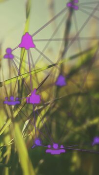 Vertical video: Cluster appearing over lit grass, purple network spreading up blades showing links