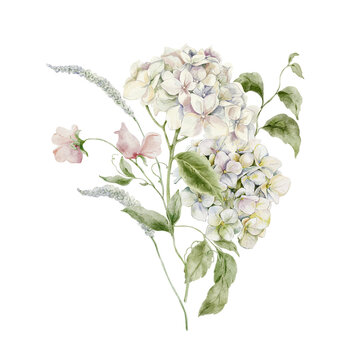 Hand painted watercolor garden bouquet with white hydrangea sweet pea and wildflowers isolated on white. Floral Illustration for design, print, fabric, background.