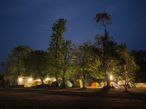 night in the park