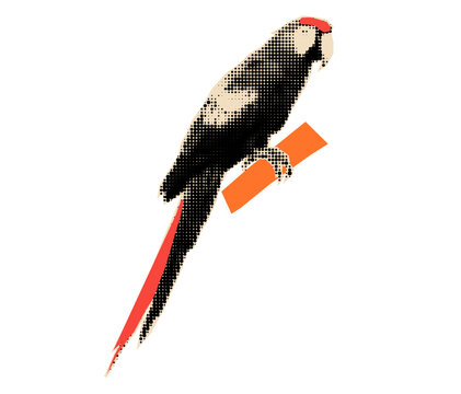 Macaw parrot halftone cutout. 