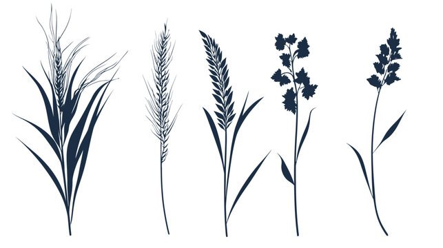 Black silhouette images of several types of wild grasses on white background