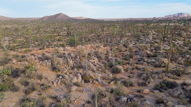 Aerial views showcase sunrise over Catavina, highlighting cardon, cirios, elephant trees, and blue palms in the desert.