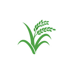 Fototapeta premium Green rice plant logo, agriculture symbol, healthy food icon, organic farming concept