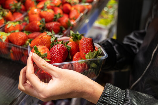 Woman Holding Fresh Strawberries at Market. Close-up of a shopper choosing ripe strawberries in a grocery store, highlighting fresh fruit, healthy eating, and everyday food shopping.