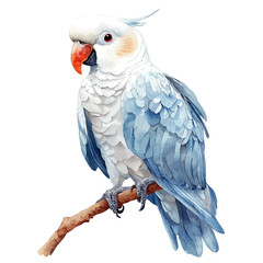 Cockatoo, cute watercolor illustration with intricate patterns and vibrant splashes, isolated on a white background. © zenvor