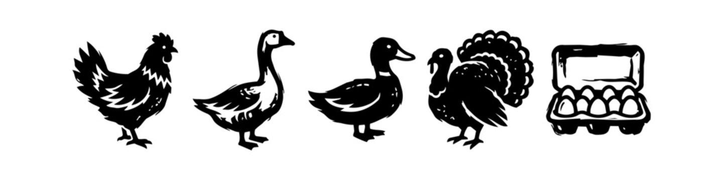 Collection of hand-drawn rustic poultry icons featuring silhouettes of a chicken, goose, duck, turkey, and a carton of fresh farm eggs. Black minimalist farm animal illustrations on white background.