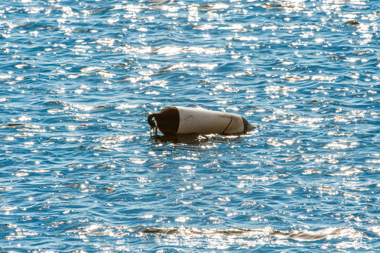 Solitary floating buoy on sparkling sea water in bright sunlight.