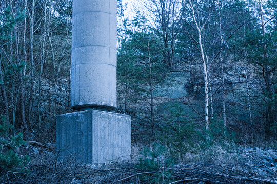 Concrete bridge support column standing in a dark forest clearing.