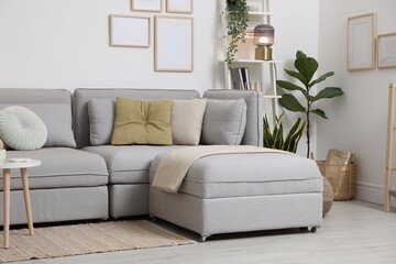 Fototapeta premium Stylish modular sofa, houseplants and furniture in room. Interior design