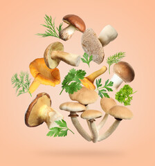 Fototapeta premium Fresh mushrooms and herbs falling against beige pink background