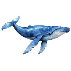 Blue Whale, cute watercolor illustration with intricate patterns and vibrant splashes, isolated on a white background. © zenvor