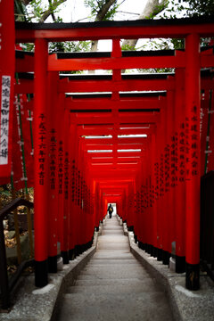 Red tori and inari gates at a shrine in Tokyo, Japan.