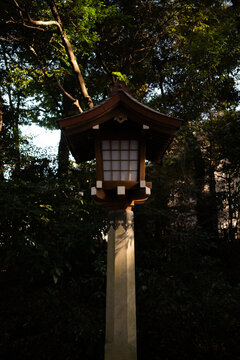 Japanese shrine altar lanterns in a park in Tokyo, Japan.
