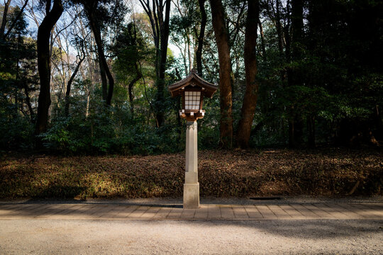 Japanese shrine altar lanterns in a park in Tokyo, Japan.