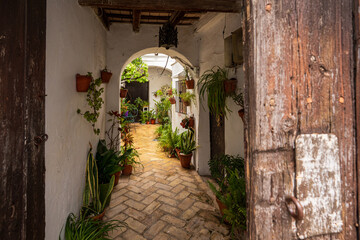 Traditional Andalusian courtyard with flower pots and archway in Vejer de la Frontera © Andrea Tabaro