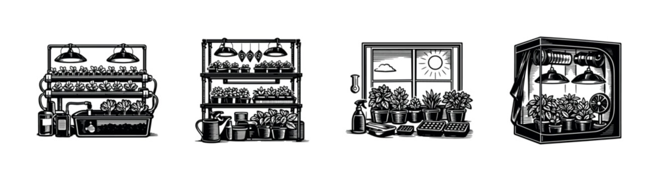Indoor gardening vector, hydroponic system, plant shelving, botanical elements, black and white illustration