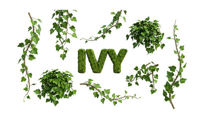 Naklejka premium Set of 3D Realistic Hanging Ivy Vines and Green Foliage Clusters Isolated on White Background