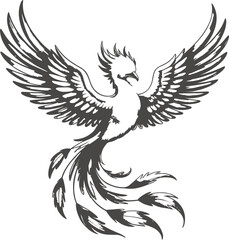 Fototapeta premium Phoenix bird mythological fire creature with spread wings and long tail feathers drawing.