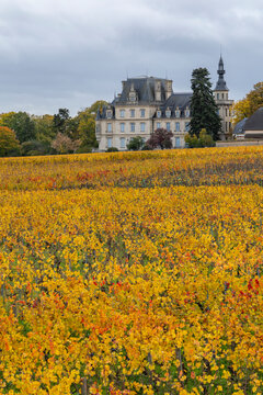 Chateau de Brochon overlooking vibrant autumn vineyards in Bourgogne