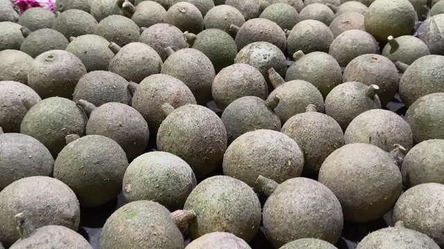 Fresh wood apples for wholesale, also called bael, stone apple, elephant apple. Organic vegan fruit rich in fiber, vitamin C, antioxidants. Ideal for juice, chutney, health foods, tropical markets.