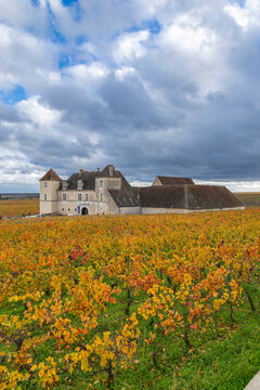 Chateau de Clos de Vougeot with autumn vineyards in Bourgogne