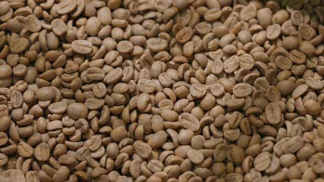 Top view raw green coffee beans tumbling in roaster hopper inside processing plant.
