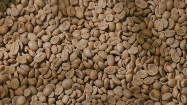 Top view raw green coffee beans tumbling and pouring into industrial hopper at processing facility.